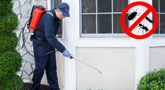 Halfeti Dezenfeksiyon böcek ilaçlama ve haşere kontrolü — ilaclama-tr.com